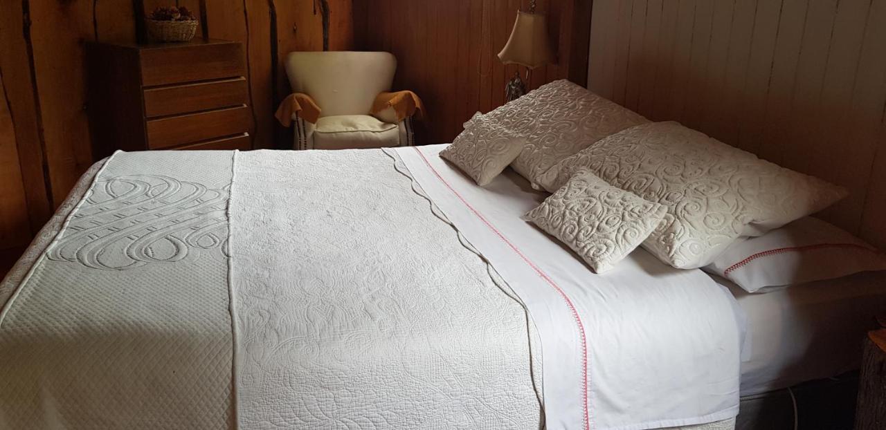 Antu Mahuida Domos Y Habitaciones เมลิปูเอโก ภายนอก รูปภาพ